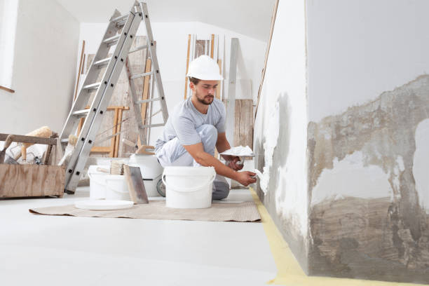 Best Mold Removal for HVAC Installations  in Laurinburg, NC
