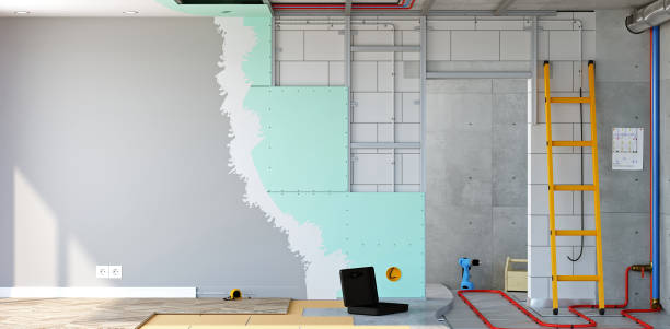 Best Airborne Mold Testing  in Laurinburg, NC