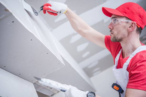 Mold Odor Removal Services in Laurinburg, NC